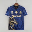 Afam - Maillot Édition Spéciale Dragon Porto 22/23