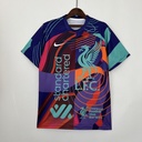 Nike - Maillot Édition Spéciale Liverpool 22/23